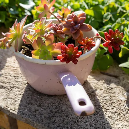 Trlaja Appartement *